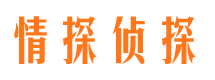 山东捉小三公司